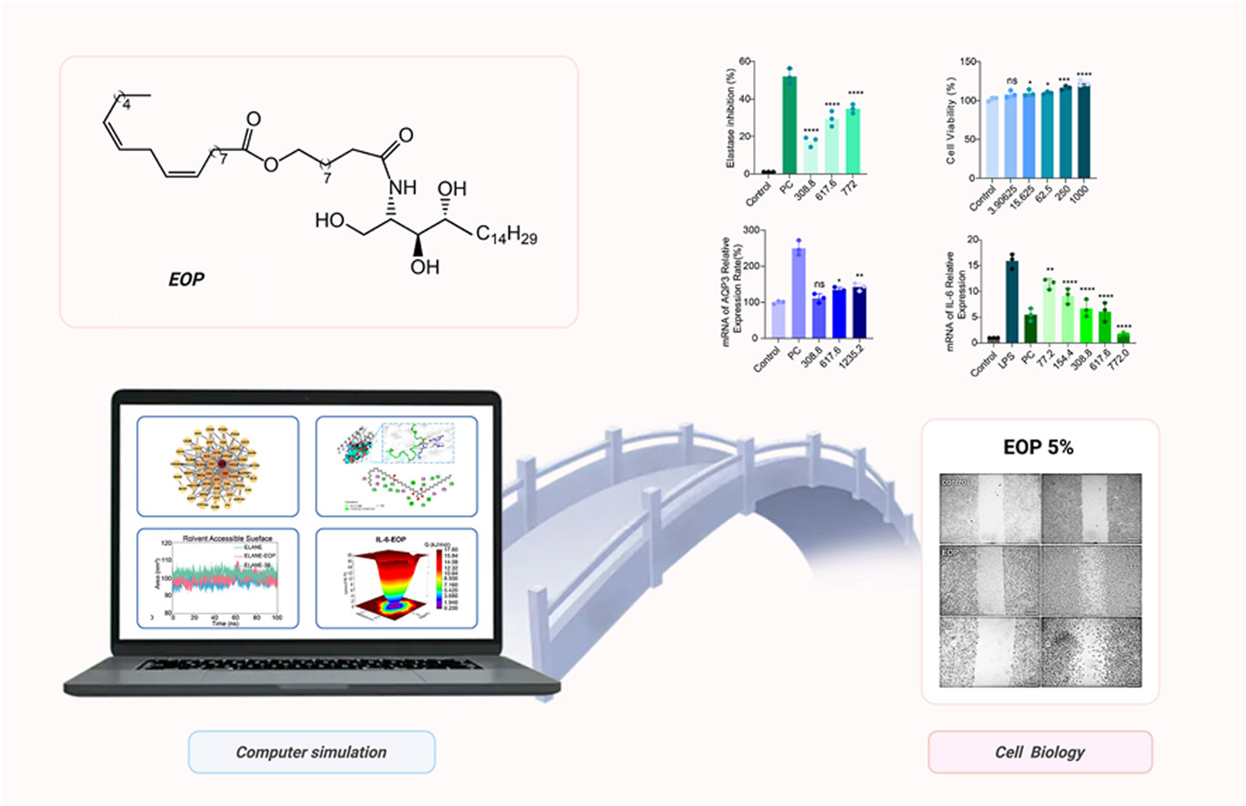 KeAi | 迪克曼生物发表C46黄金神经酰胺EOP合作研究成果(图3)
