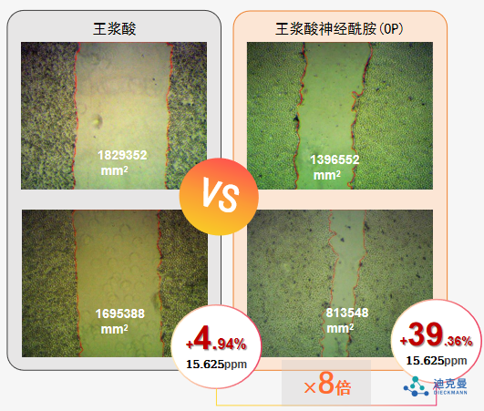 迪克曼生物再添新原料备案：王浆酸神经酰胺(OP)，取得抗光老化新突破！(图7)