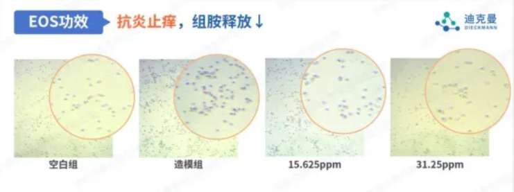 迪克曼重磅官宣 | 国内化妆品行业首个神经酰胺EOS新原料备案成功！(图7)