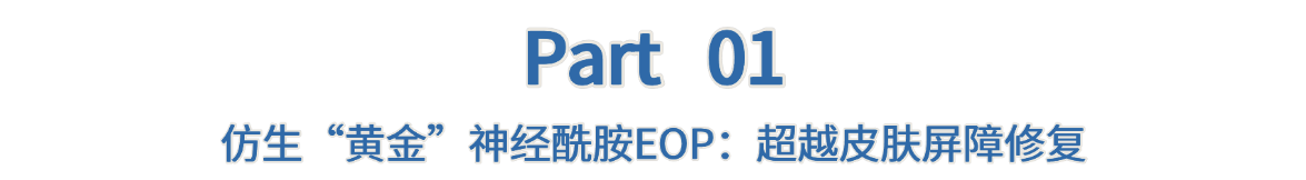 迪克曼生物携两项重磅创新神经酰胺成果亮相IFSCC 2025，为全球护肤科技带来全新解决方案！(图2)